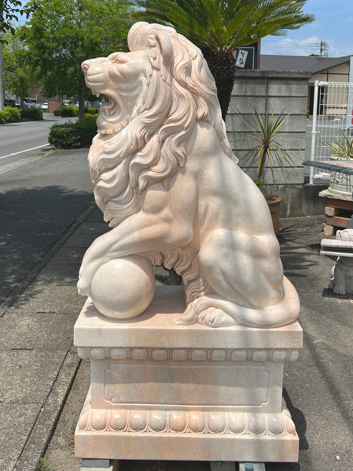 【40%off‼️】白珊瑚/ライオン彫刻彫り Amazon.co.jp: 40%off白珊瑚ライオン彫刻彫り : ファッション