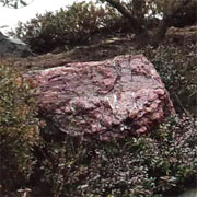 赤石　赤玉石 庭石