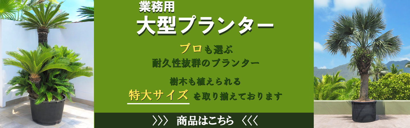 ナーセリーポット