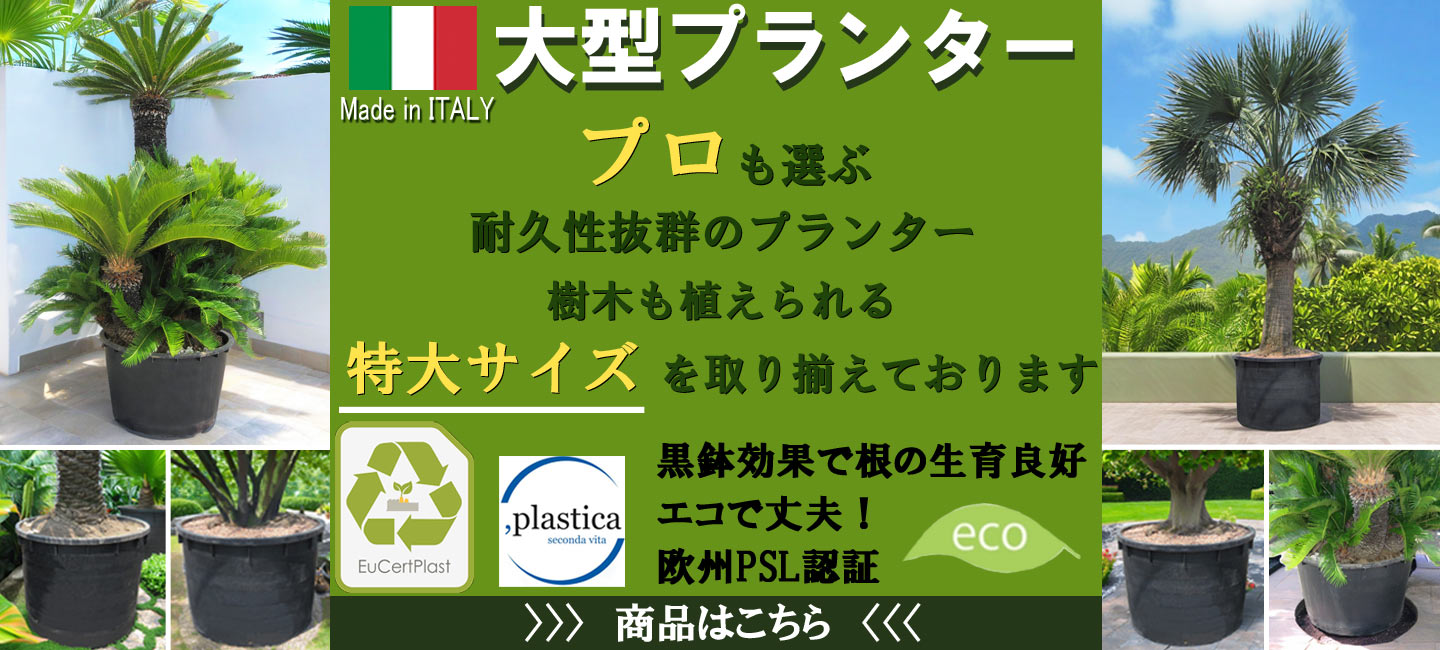 ナーセリーポット