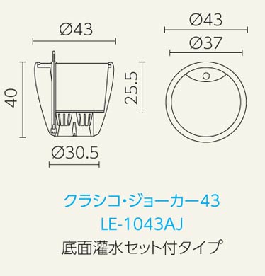 デザイン