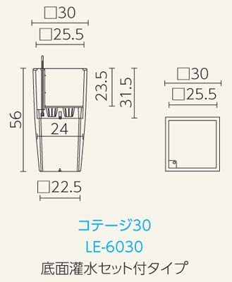 デザイン