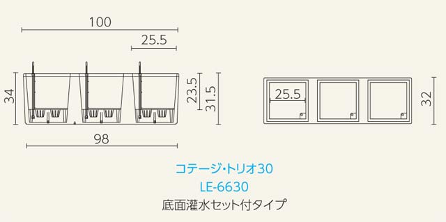 デザイン
