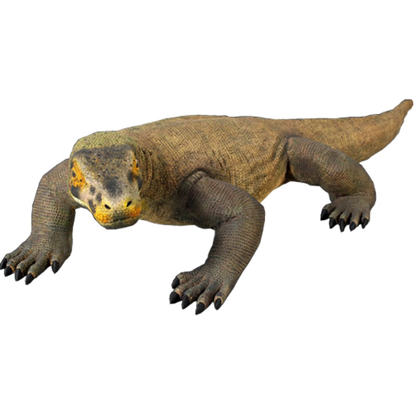 コモドドラゴン 置物 リアル 1.6m FRP オブジェ | 全長168cm