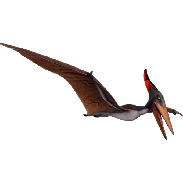 プテラノドン3m Pteranodon 10ft. FRP恐竜オブジェ【商品番号：m