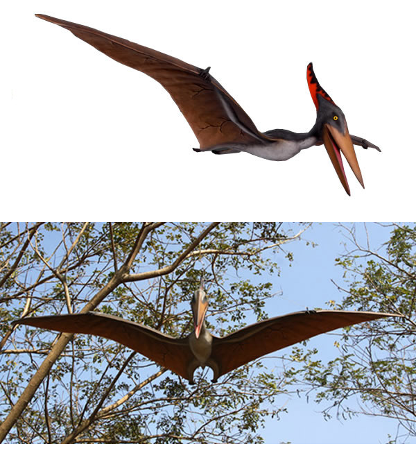 プテラノドン3m Pteranodon 10ft. FRP恐竜オブジェ【商品番号：m