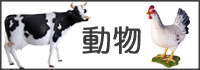動物