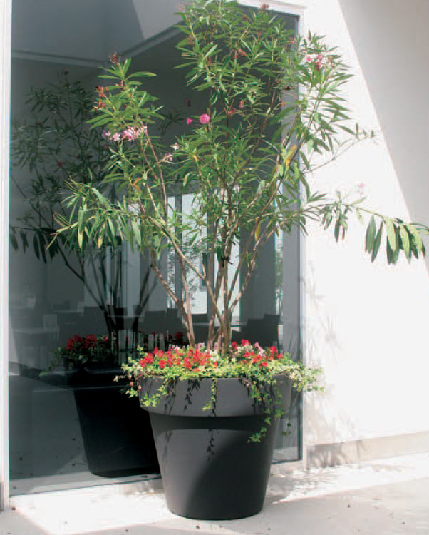 大きいプランター