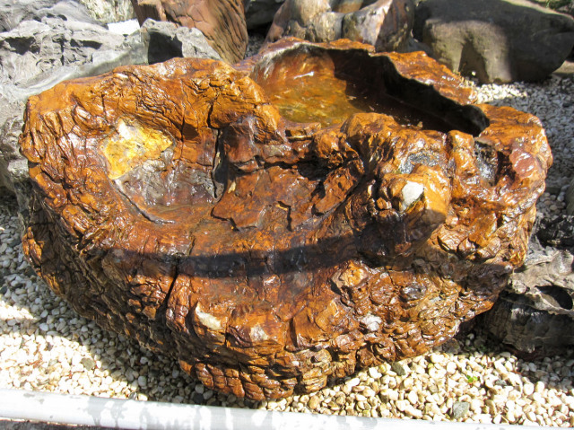 木化石 蹲(つくばい) 050は手水鉢・水鉢として庭石としても人気です。