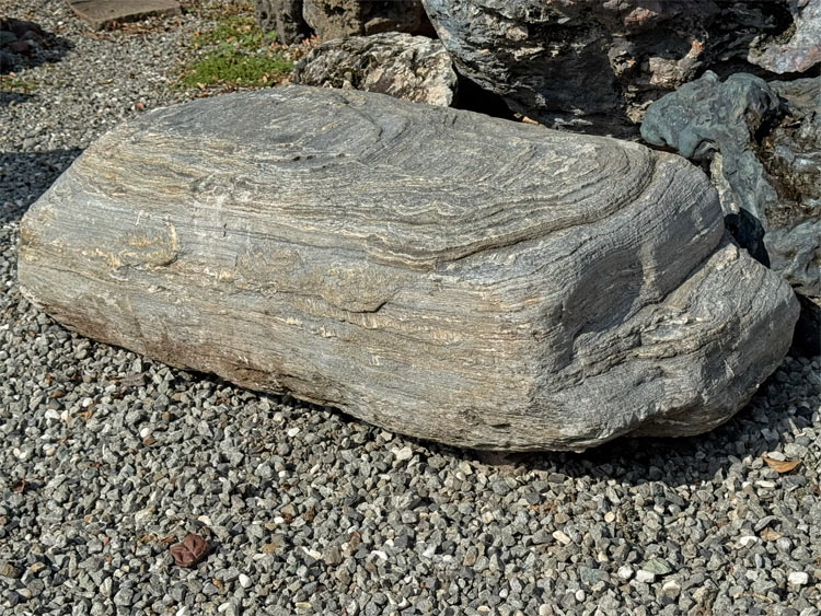 三波石 銘石 景石 庭石 天然石 145cm 群馬県産 青石 沓脱石 踏み石