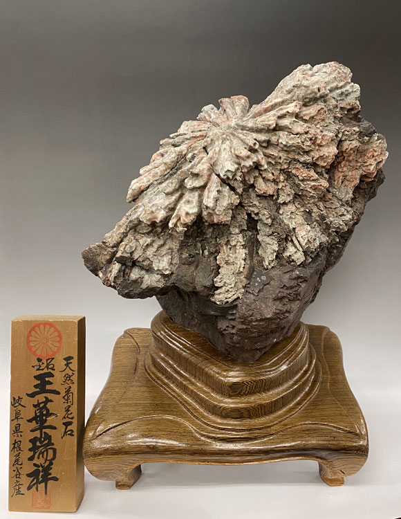 菊花石 石と台座 - yanbunh.com