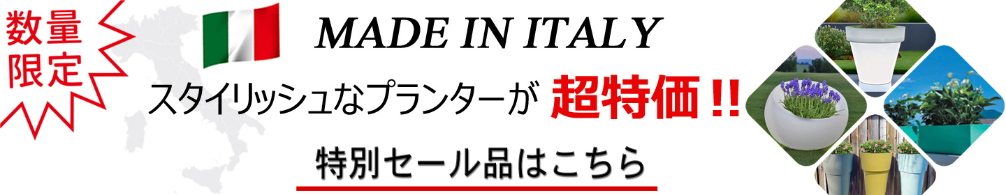 本象牙『錦鯉額入』【6】