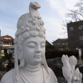 kannon2-500.jpg