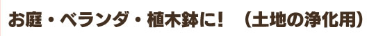 土地の浄化用として・土地の清め