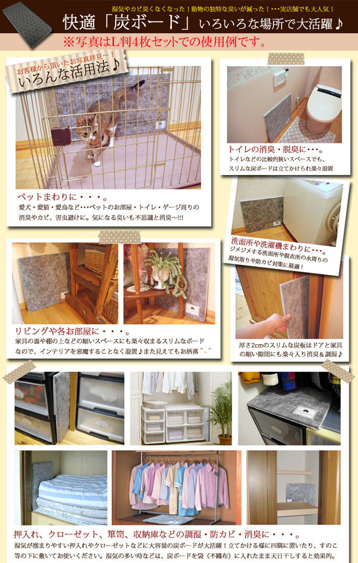 炭 消臭 除湿